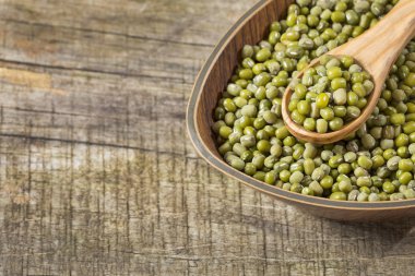 Ham mung fasulye - Vigna ışınsal simetrili canlılar