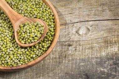 Ham mung fasulye - Vigna ışınsal simetrili canlılar