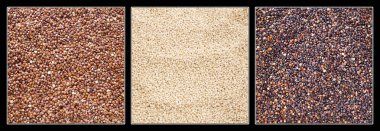 Beyaz, kırmızı ve siyah quinoa - Chenopodium quinoa tohumları