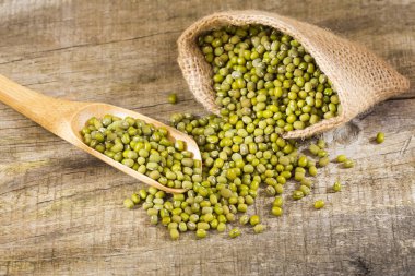 Ham mung fasulye - Vigna ışınsal simetrili canlılar