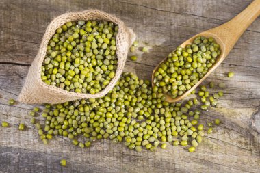 Ham mung fasulye - Vigna ışınsal simetrili canlılar