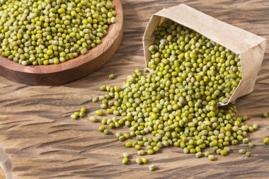 Ham mung fasulye - Vigna ışınsal simetrili canlılar