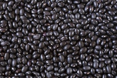 Ham siyah fasulye. Üstten görünüm - Phaseolus vulgaris siyah kaplumbağa