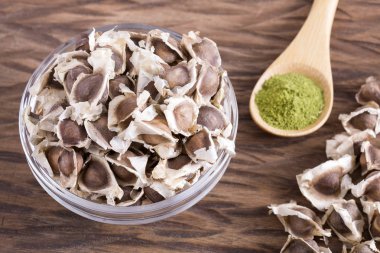 Moringa Organik tohum - Moringa oleifera. Üstten görünüm