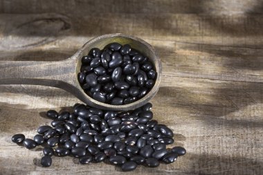 Ham siyah fasulye. Üstten görünüm - Phaseolus vulgaris siyah kaplumbağa