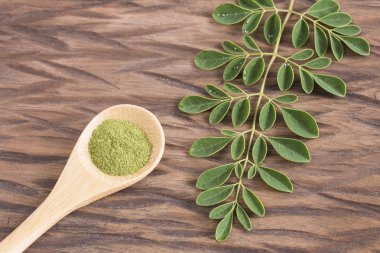 Taze yaprakları ve moringa tozu - Moringa oleifera. Üstten görünüm
