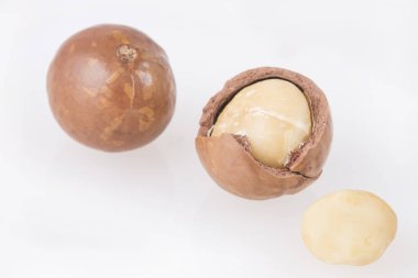 Macadamia fıstığı beyaz arka planda - Macadamia integrifolia