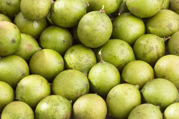 Taze soyulmuş quenepa meyvesi Melicoccus bijugatus