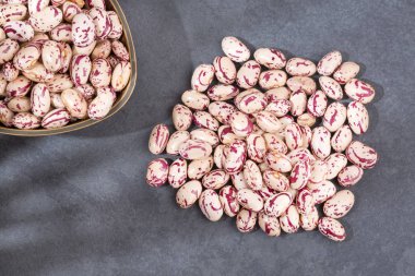 Ham pinto fasulye - Phaseolus vulgaris