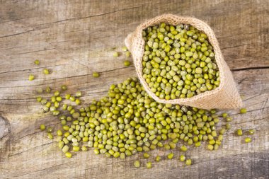 Organik mung fasulye, yeşil fasulye - Vigna Işınsal simetrili canlılar