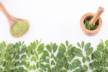 Moringa beslenme bitki - Moringa oleifera