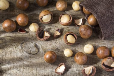 Macadamia fıstığı kurutulmuş meyve, çok besleyici ve enerjik - Macadamia integrifolia