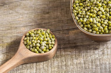 Fasulye Mung fasulye yeşil renkli - Vigna radiata çeşitli