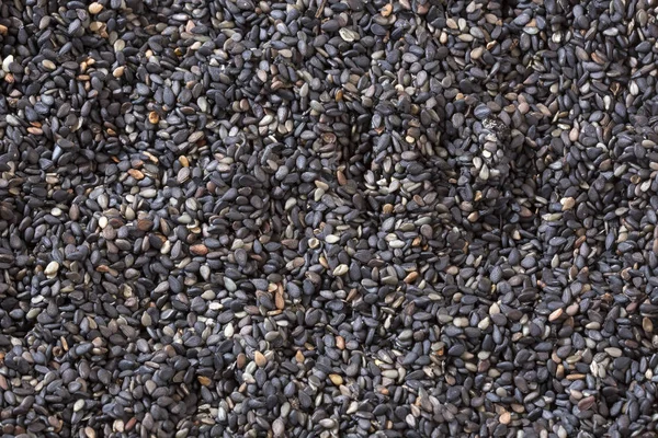 Siyah susam - Sesamum indicum organik tohumları. Üstten görünüm
