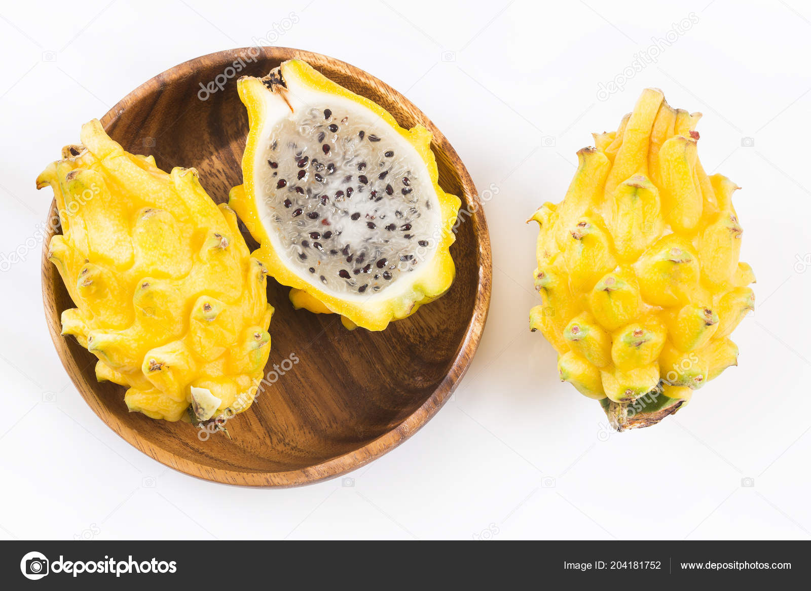 クジャク サボテン Megalanthus 黄色ピタハヤやドラゴン フルーツ ストック写真 C Luisecheverriurrea クジャク サボテン Megalanthus 黄色ピタハヤやドラゴン フルーツ ストック写真 C Luisecheverriurrea