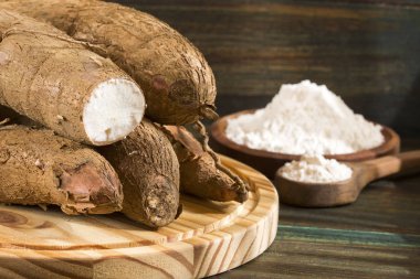 Ham cassava nişasta - Manihot esculenta. Ahşap arka plan