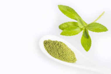 Taze yeşil Stevia bitki ve özü tozu - Stevia rebaudiana. Beyaz arka plan