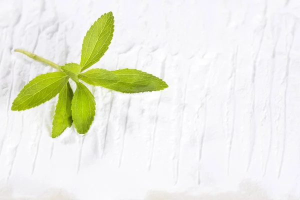 Fresh Green Stevia Herb Extract Powder Stevia Rebaudiana White Background — Stock Photo, Image