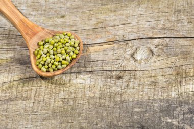 Yeşil tohum mung fasulye - Vigna Işınsal simetrili canlılar. Üstten görünüm