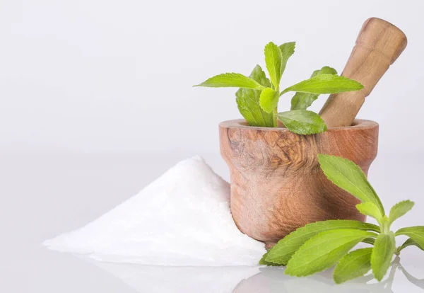 Natural Sweetener Powder Stevia Plant Stevia Rebaudiana — Stock Photo, Image