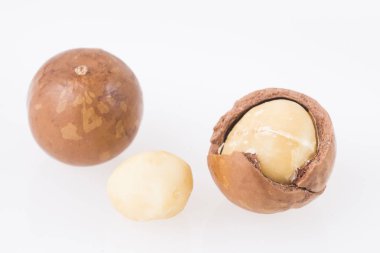 Ahşap masa - Macadamia integrifolia macadamia fındık
