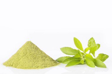 Fresh green Stevia herb and extract powder - Stevia rebaudiana. clipart