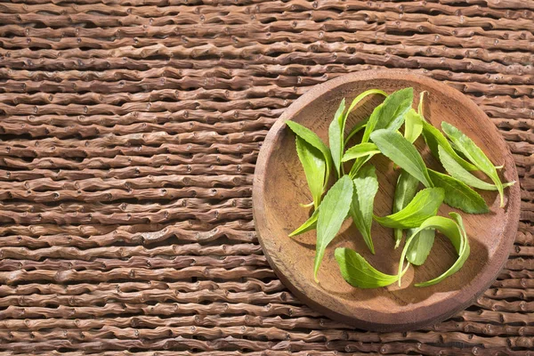 Natural sweetener in powder from stevia plant - Stevia rebaudiana. Top view