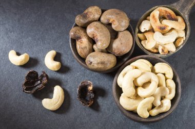 Doğal ve kavrulmuş kaşu somun - Anacardium occidentale