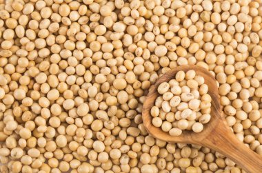 Soya fasulyesi - Glycine max kuru. Üstten görünüm