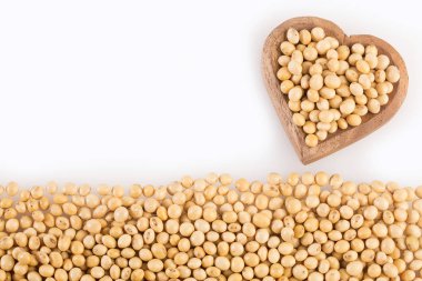 Soya fasulyesi - Glycine max kuru. Beyaz arka plan