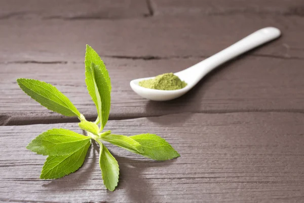 Natural sweetener in powder from stevia plant - Stevia rebaudiana