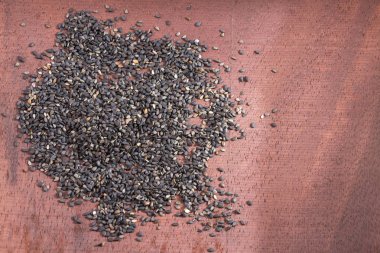 Organik tohumları siyah susam - Sesamum indicum.