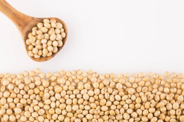 Soya fasulyesi - Glycine max kuru. Beyaz arka plan