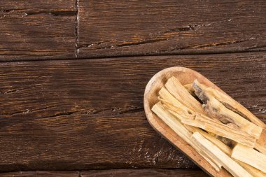 Kutsal odun ya da kutsal ağaç Bursera mezarlığı