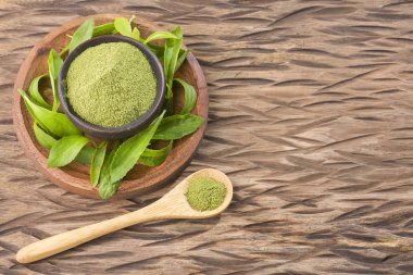 Steven Rebaudiana 'nın doğal tatlandırıcı tozu.