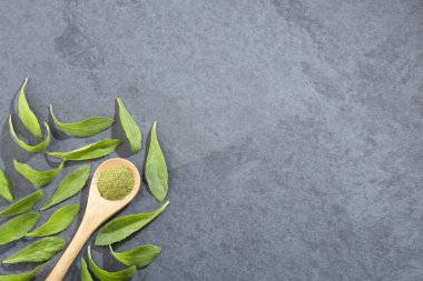 Yeşil yaprakları ve stevia tozu - Stevia rebaudiana