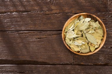 Kurutulmuş defne yaprağı - Laurus nobilis.