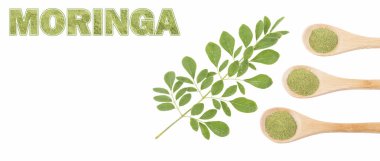 Taze yaprakları ve moringa tozu - Moringa oleifera. Metin alanı