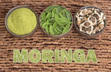 Moringa tohum, moringa taze yaprakları, moringa toz (Moringa oleifera)