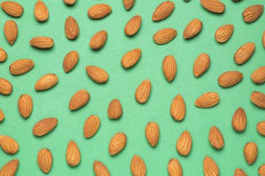 Badem fındık - Prunus dulcis. Yeşil arka plan