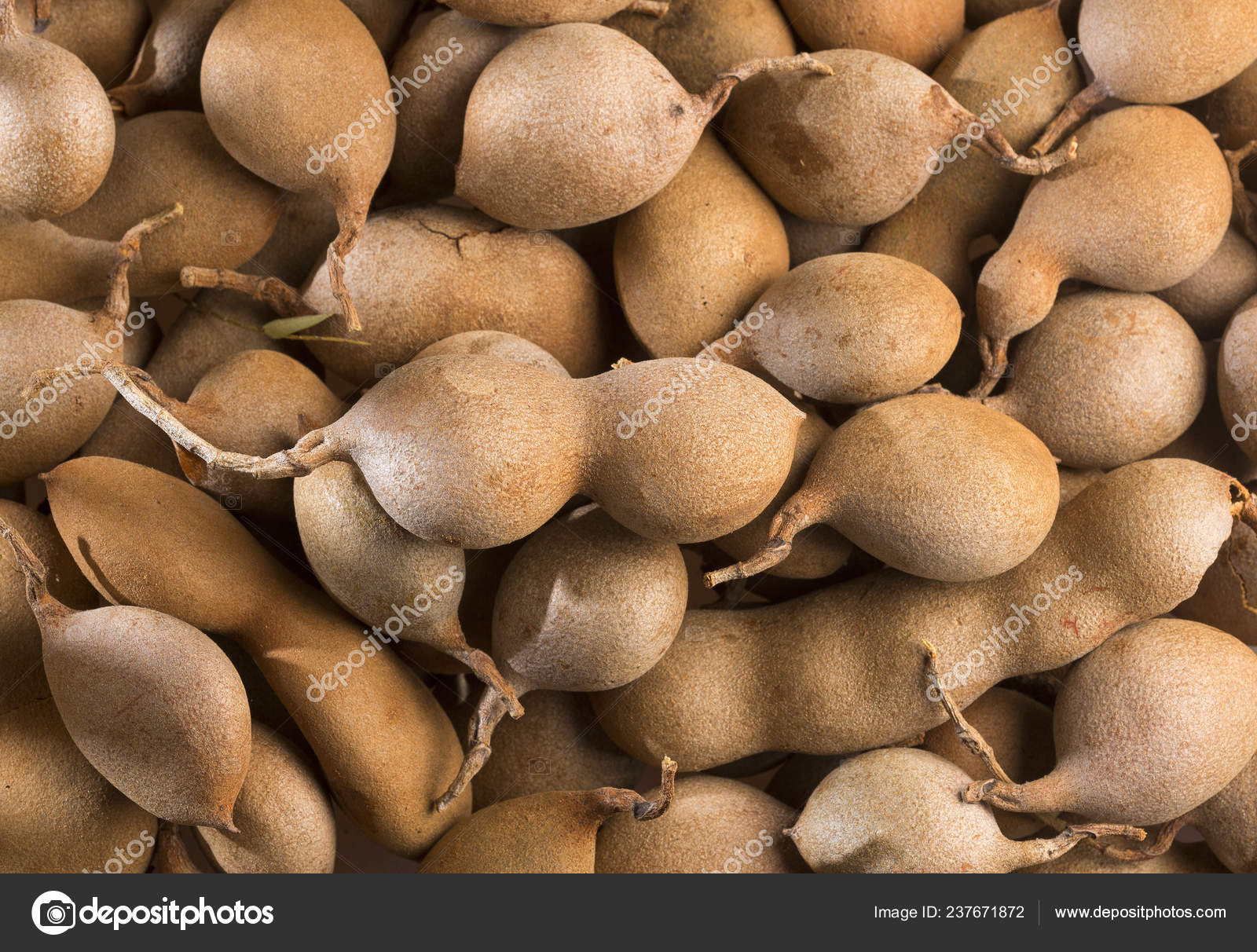 Tamarind Tropical Fruit Tamarindus Indica Stock Photo Image By C Luisecheverriurrea