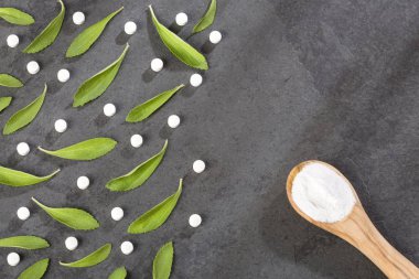 Hap, toz ve stevia bitki - Stevia rebaudiana yaprakları.