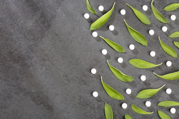 Pillen Bladeren Van Stevia Plant Stevia Rebaudiana — Stockfoto