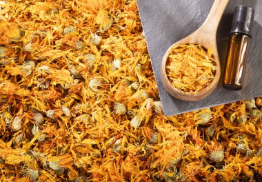 Kadife çiçekli Aromaterapi gerekli yağ - Calendula officinalis