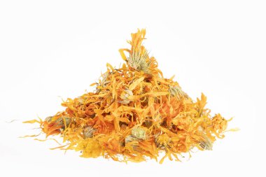 Kurutulmuş calendula çiçek - Calendula officinalis. Beyaz arka plan