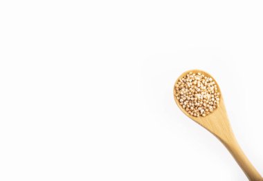 Solmayan çiçek tahıl - Amaranthus attı. Beyaz arka plan