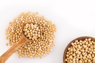 Soya fasulyesi - Glycine max kuru. Metin alanı