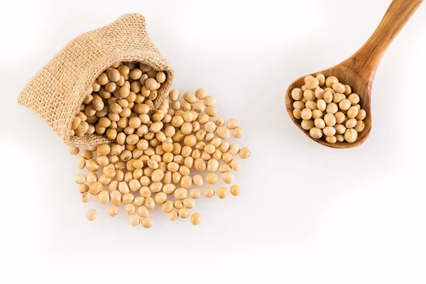 Dry Soybeans Glycine Max Text Space — Stock Photo, Image