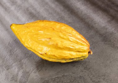Kakao meyve - Theobroma kakao. Üstten Görünüm