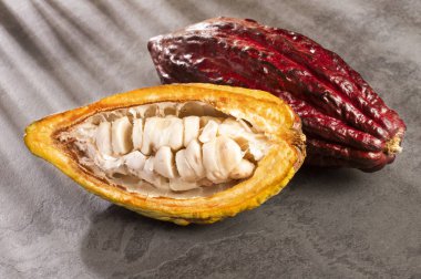 Kakao meyve - Theobroma kakao. Üstten Görünüm